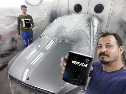 الماس المستقر الفضة المعدنية طلاء سيارة متعددة الأغراض مقاوم للماء