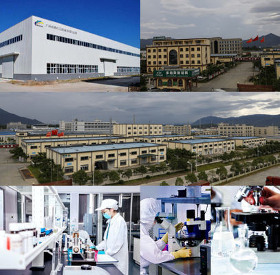 طلاء السيارة الأخضر مع المرافق المتقدمة