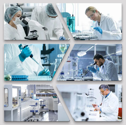 15 عاما من الخبرة في طلاء السيارات