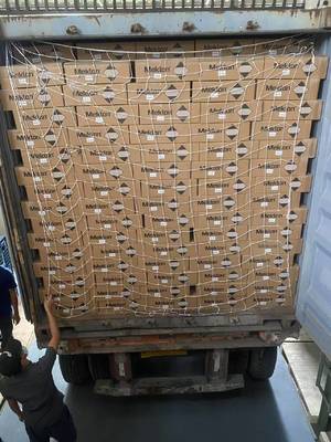 خفيف طلاء السيارات ذو الأداء العالي لميكلون F-8300 الفضة الماس واضحة